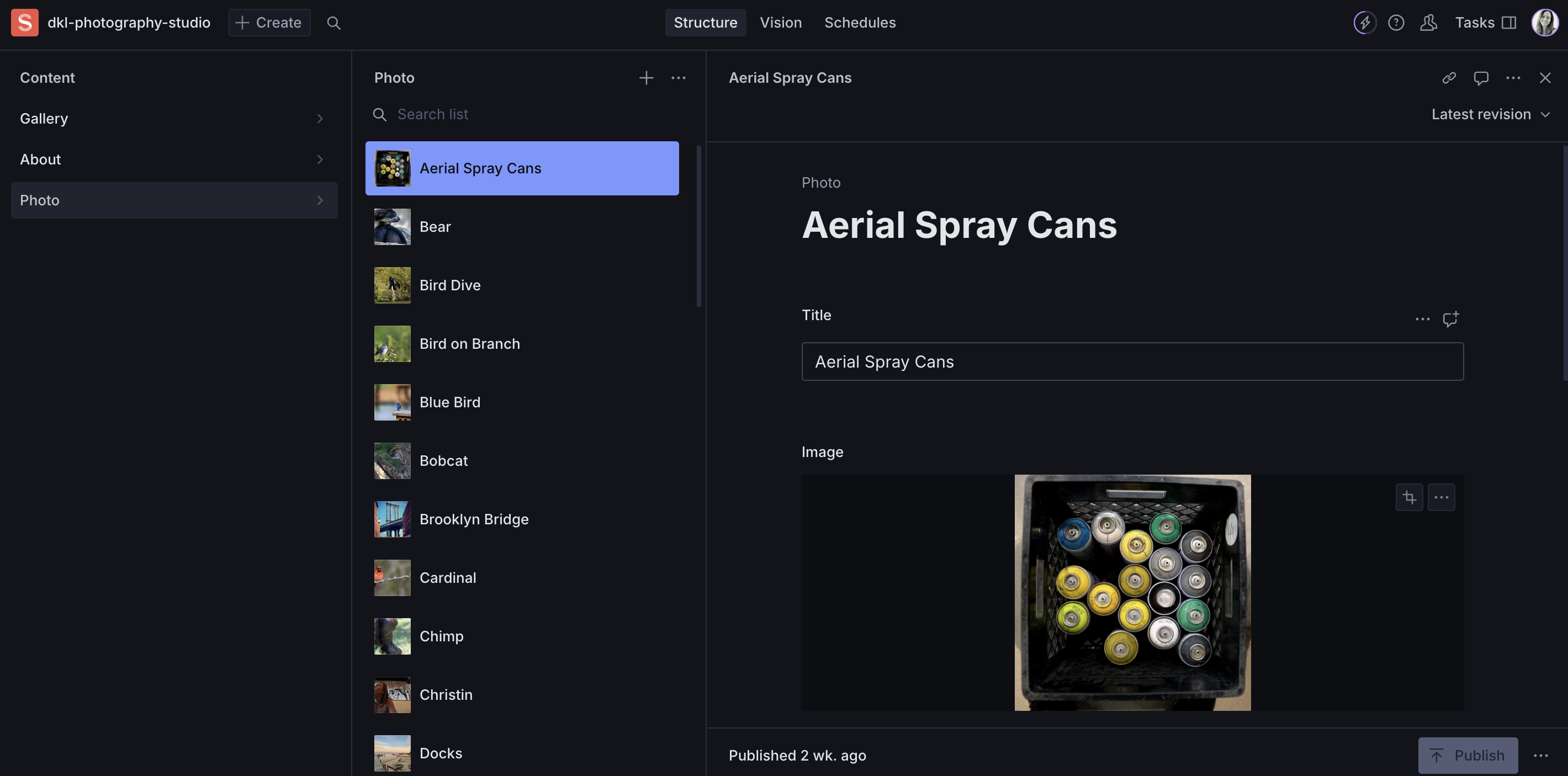 Sanity Screenshot